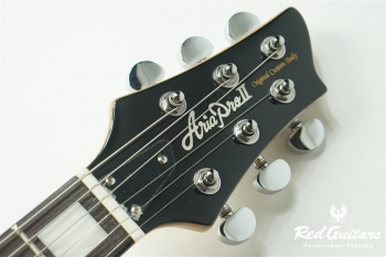 PE-480 - Brown Sunburst